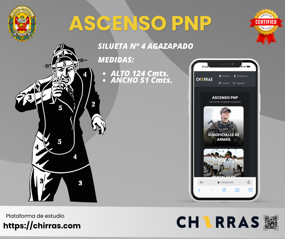 Silueta N° 4 Agazapado